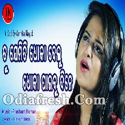 Tu Jemiti Dhoka Delu Dhokapaibu Dine - Sad Song By Amrita Nayak